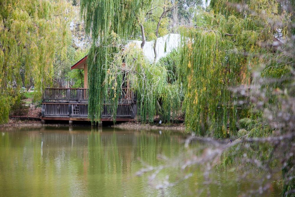 Perricoota Vines Retreat Hotel Moama Phòng bức ảnh