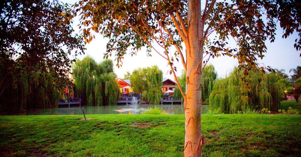 Perricoota Vines Retreat Hotel Moama Ngoại thất bức ảnh