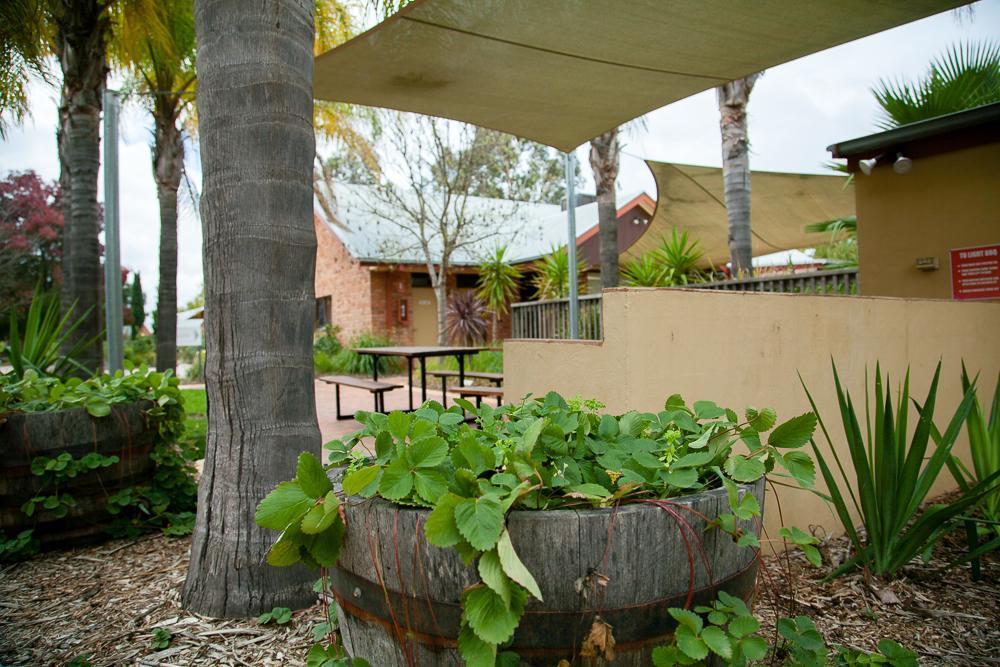 Perricoota Vines Retreat Hotel Moama Ngoại thất bức ảnh