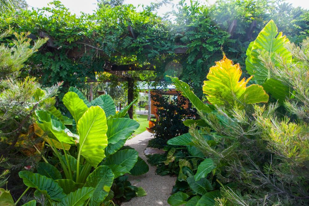 Perricoota Vines Retreat Hotel Moama Ngoại thất bức ảnh