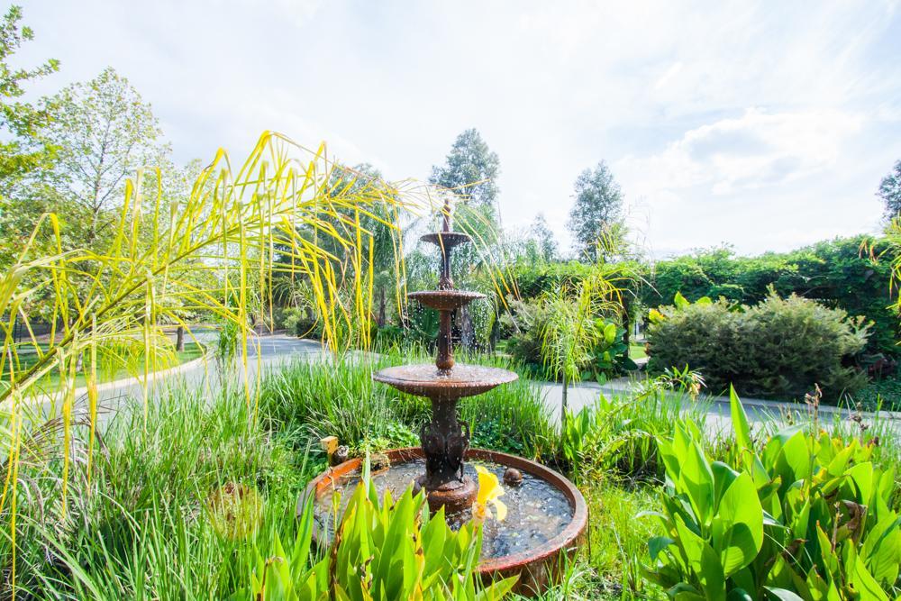 Perricoota Vines Retreat Hotel Moama Ngoại thất bức ảnh
