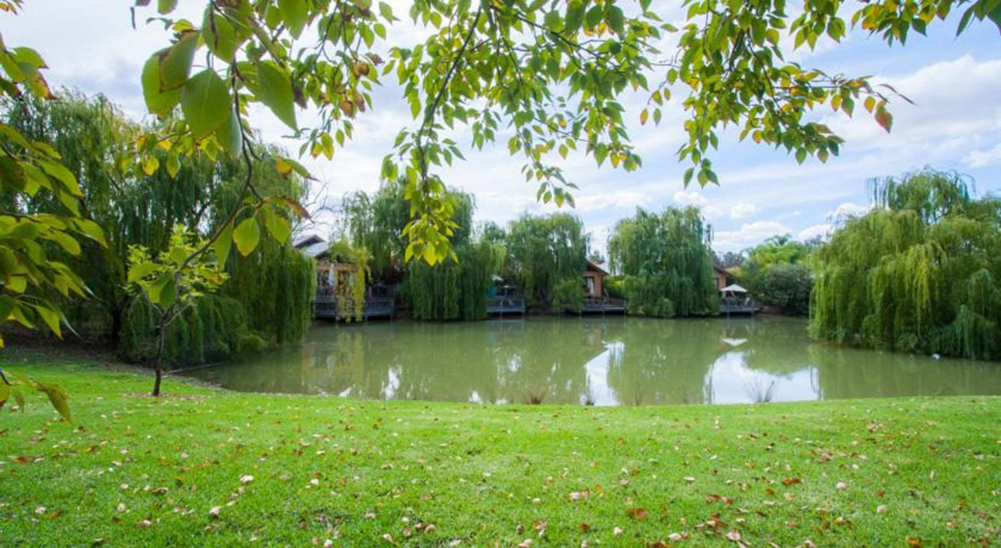 Perricoota Vines Retreat Hotel Moama Ngoại thất bức ảnh