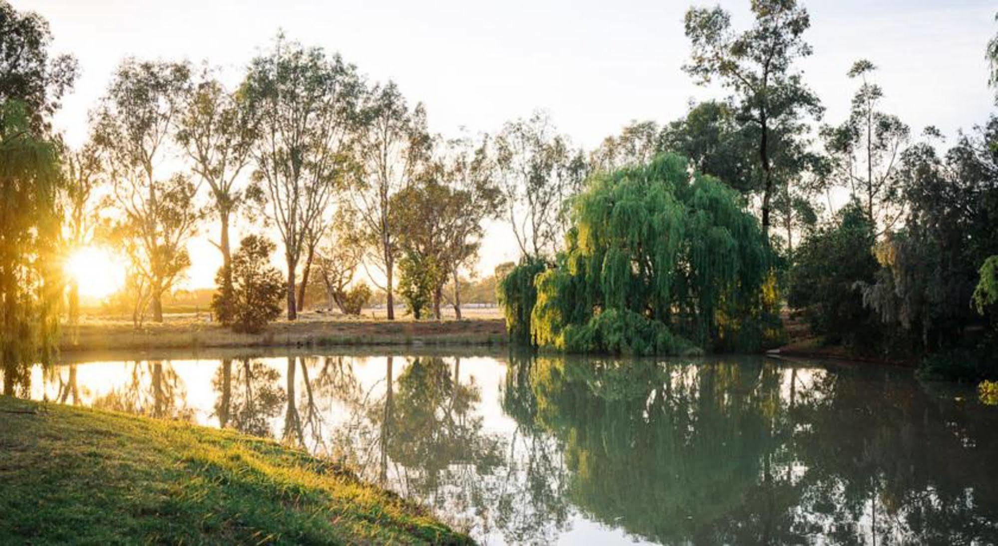 Perricoota Vines Retreat Hotel Moama Ngoại thất bức ảnh